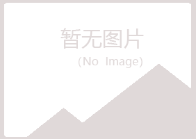 会宁县惜雪金属有限公司